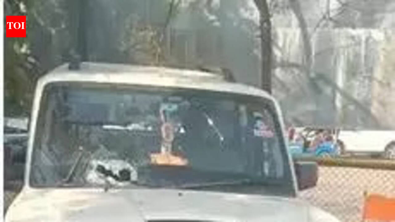 SUV driver killed in mishap after railing pierces his chest | Jaipur ...