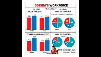 Rs 220cr DALKHAI initiative aims to curb seasonal migration