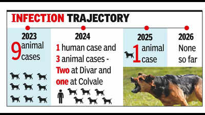 One dog rabies case reported last year, no human affected