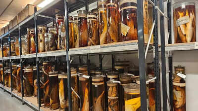 Scientists finally reveal what’s inside Charles Darwin’s 200-year-old jars