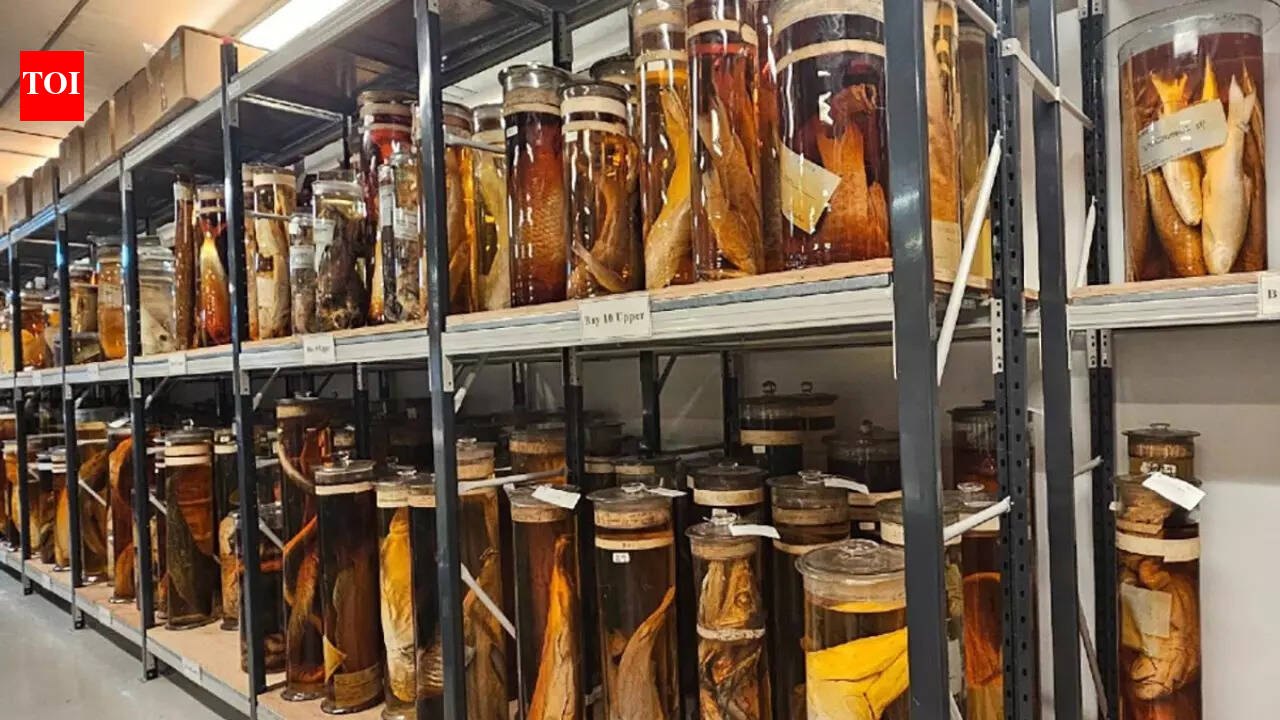 Scientists finally reveal what’s inside Charles Darwin’s 200-year-old jars