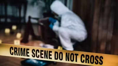 'Attacked with repeated kicks, punches': Man kills mother over bitter gourd curry in Maharashtra