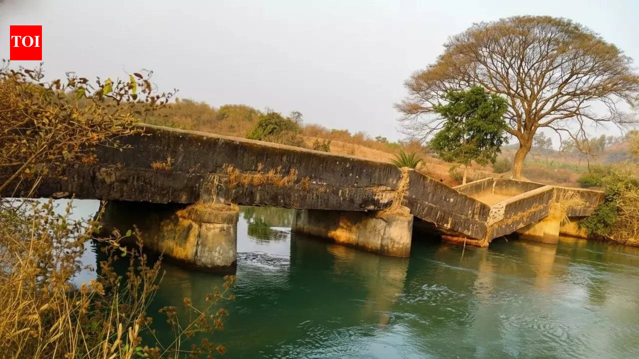 Bridge over Kolab river canal collapses; no casualty