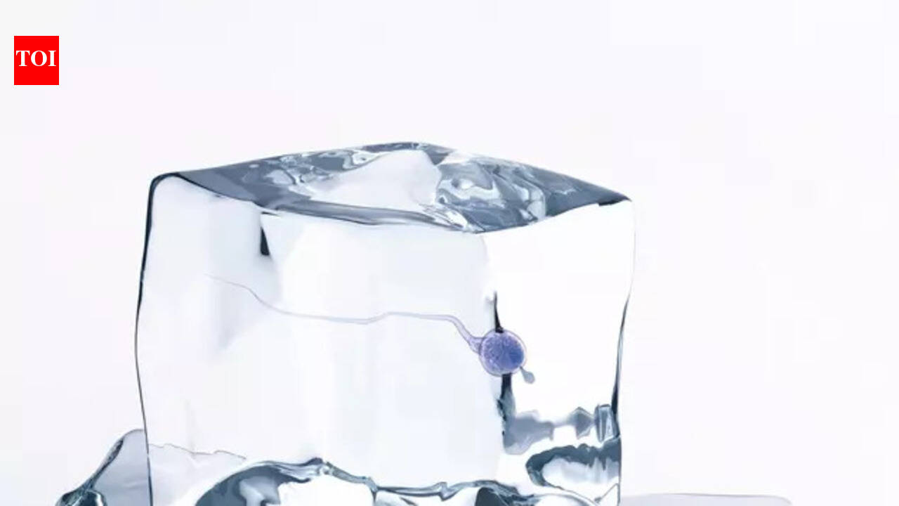 A child after death? Families cling to hope, and frozen sperm