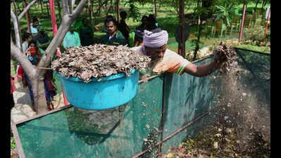 Surplus solution: Govt agency maymarket compost from apartments in Karnataka