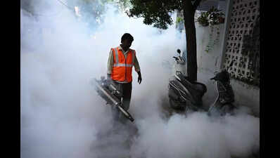 Malaria cases in Andhra Pradesh plunge 72% in a decade