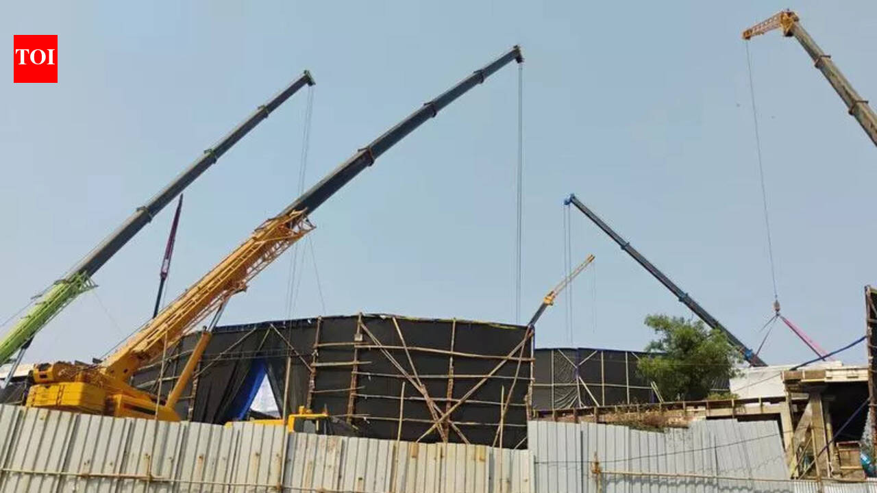 Mumbai: Tree-destruction in eco-sensitive zone, complaint lodged by NGO