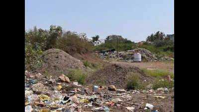 Pallavaram lake filled with garbage, encroachments