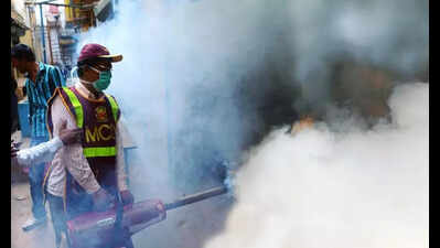 2025 disease burden: Pune logs highest chikungunya infections among all Maha districts, ranks second in dengue cases