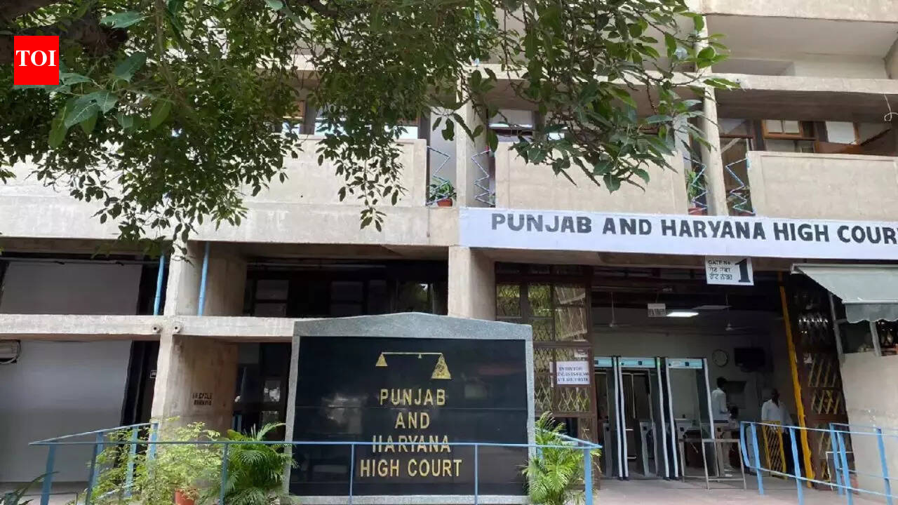 ‘No negative equality’: HC rejects cop’s claim of gallantry promotion