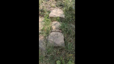Yadava-era stone pillar remains found in Hinganghat: Researchers