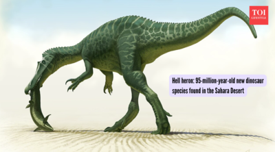  95-million-year-old new dinosaur species found in the Sahara Desert