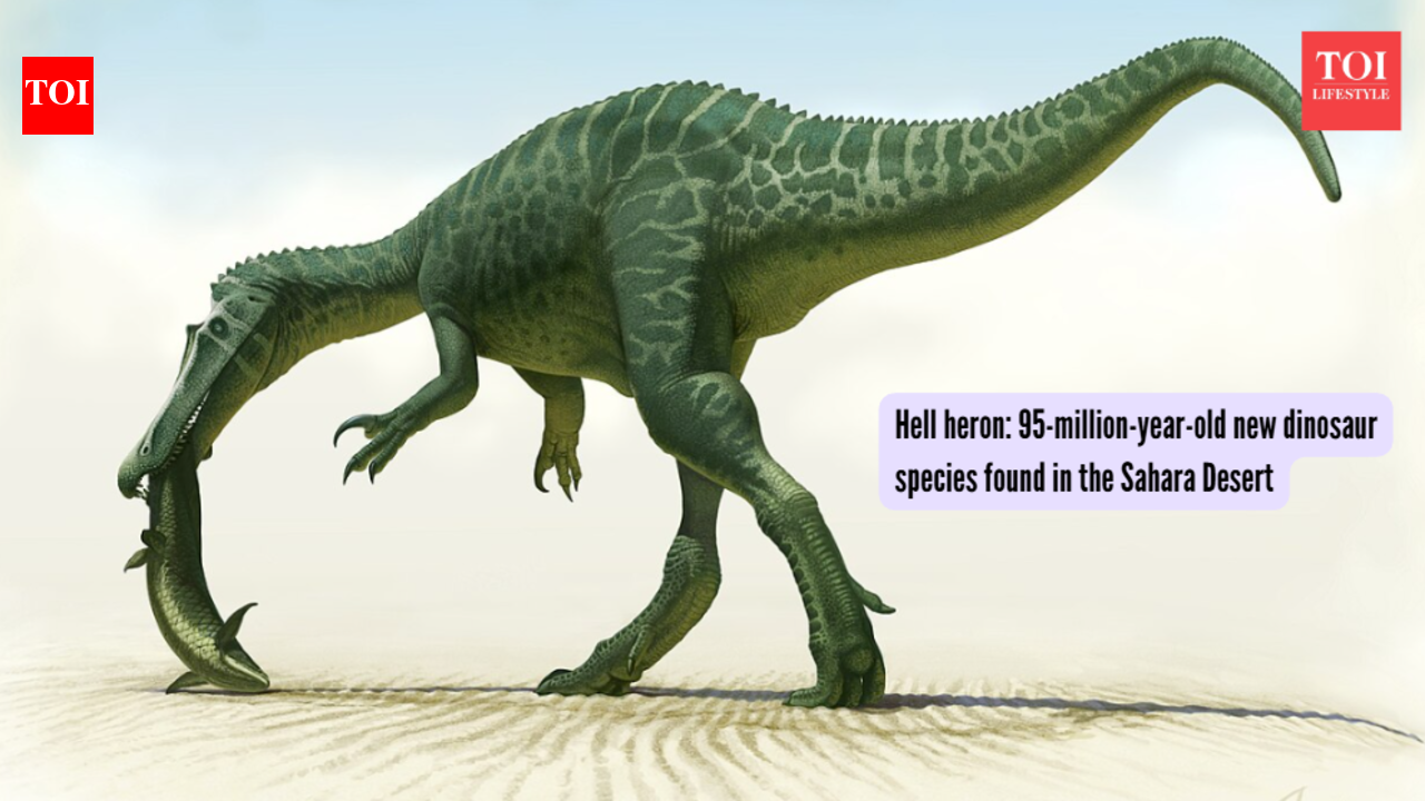 Hell heron: 95-million-year-old new dinosaur species found in the Sahara Desert