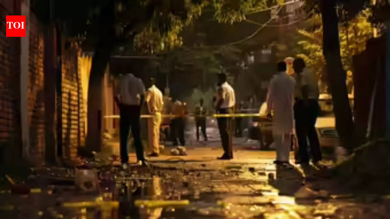 Tarn Taran sarpanch killing: Main accused held after police encounter