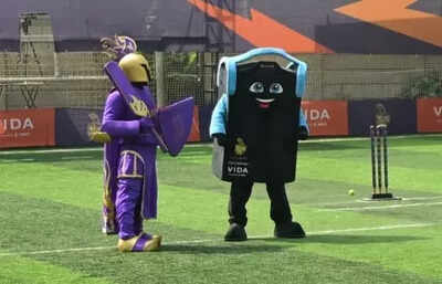 Fan box-cricket tournament brought amateur players together in Kolkata