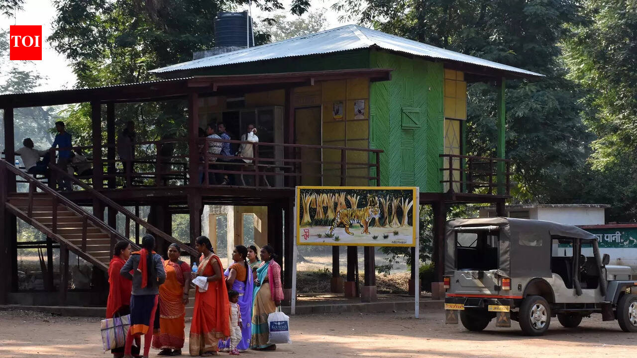 Palamu Tiger Reserve launches 'Vanjeevi Didi' initiative for women to ...