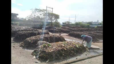 Corpn plans three more windrow composting plants in Chennai city