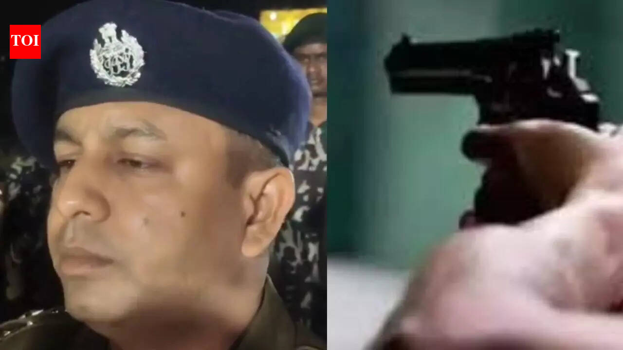 Two brothers shot dead at wedding reception in Patna