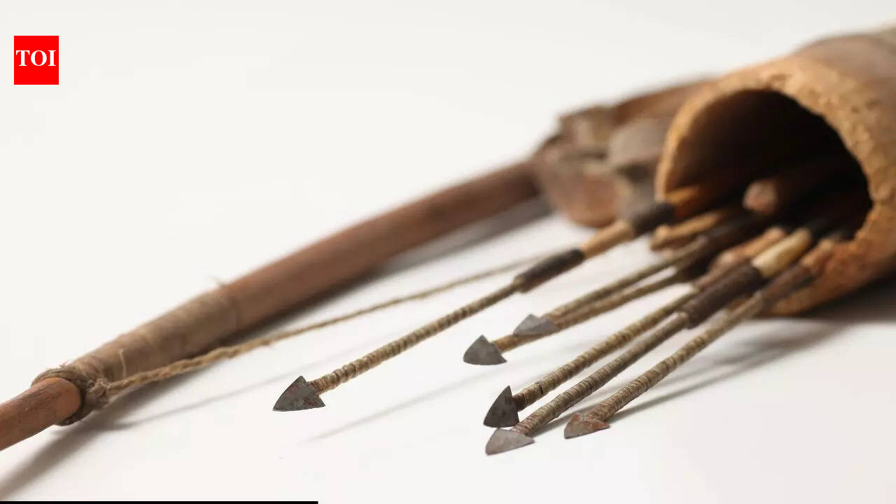 60,000-year-old ancient stone arrows from South Africa carry traces of plant-based poison