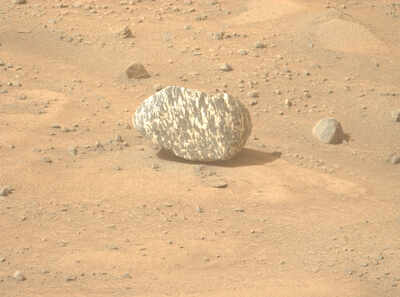 Zebra rock found by NASA may reveal new clues about Mars geology