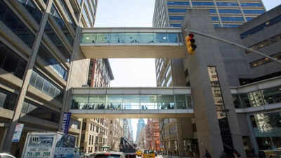 ‘They’re too dumb to know…’: New York professor under fire for racist remarks about black students