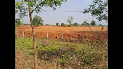 NGT notice to authorities on illegal soil excavation in Balangir district
