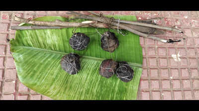 Angul forest circle launches drive to stop bait bomb poaching