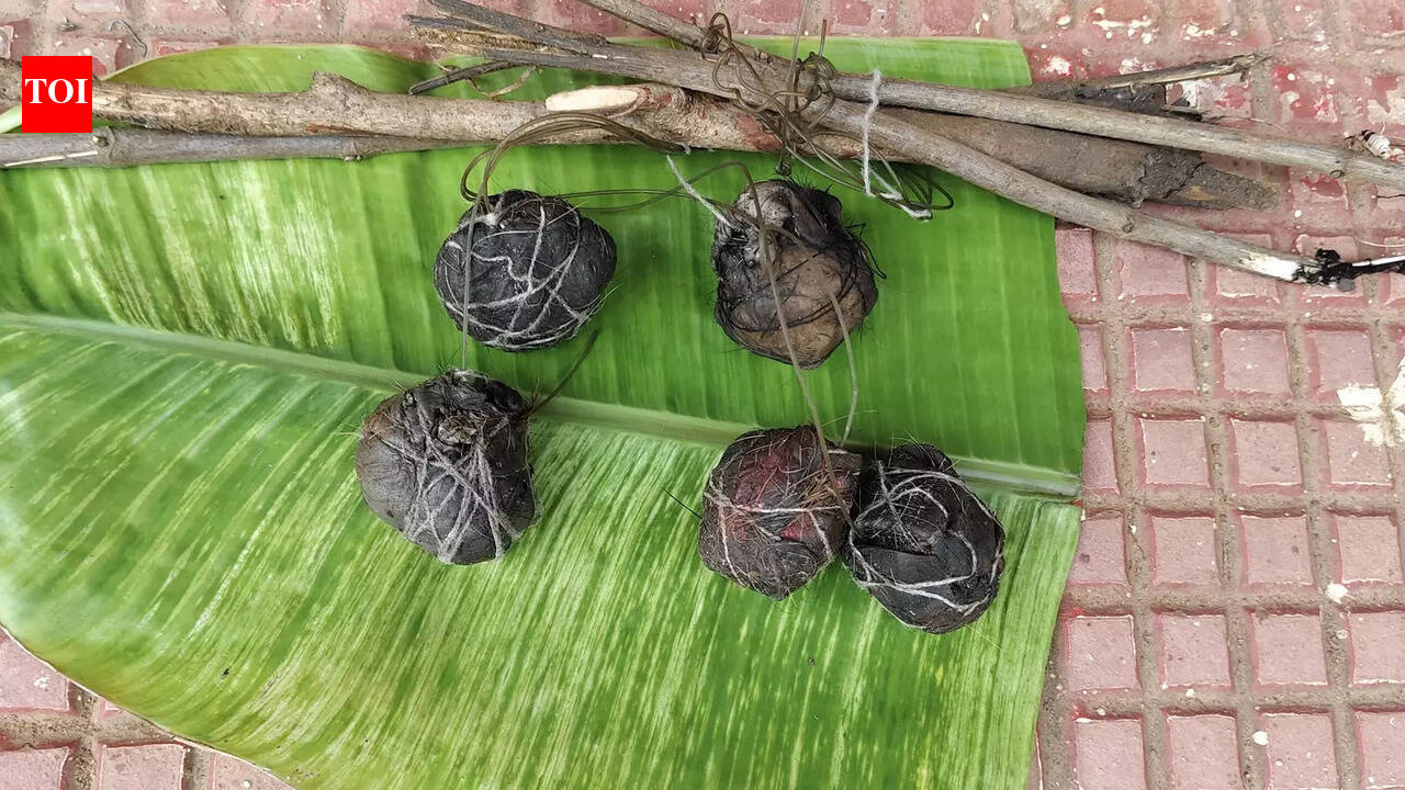 Angul forest circle launches drive to stop bait bomb poaching