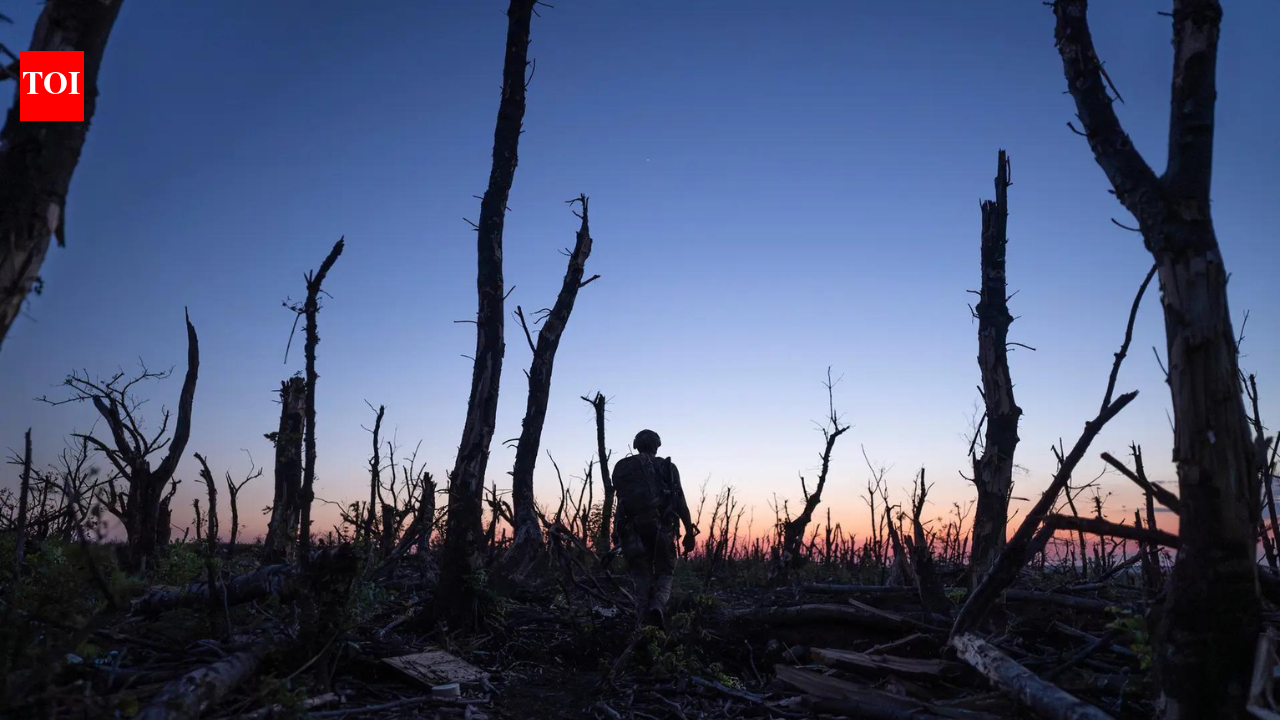Ukraine Stands: Four years of full-scale war hasn’t broken Ukrainians. They thrive as resistance