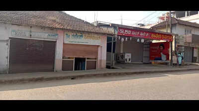 Sringeri bandh over elephant attacks gets good response