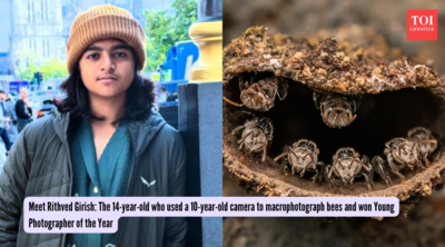  The 14-year-old who used a 10-year-old camera to macrophotograph bees and won Young Photographer of the Year