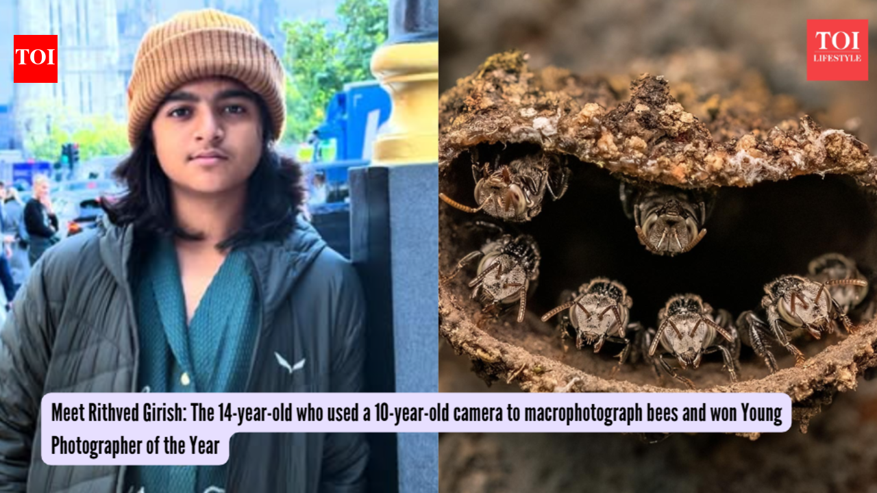 Meet Rithved Girish: The 14-year-old who used a 10-year-old camera to macrophotograph bees and won Young Photographer of the Year