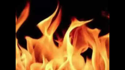 Woman, 4-year-old daughter burned alive in Supaul fire