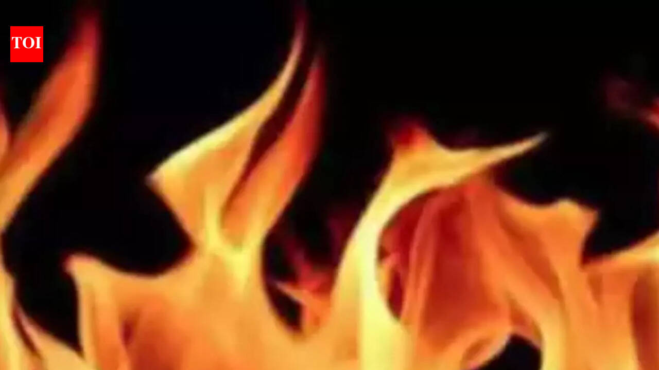 Woman, 4-year-old daughter burned alive in Supaul fire