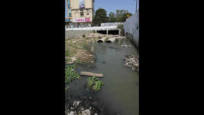 Vaigai choked by sewage at 77 points; ₹2,500-crore overhaul under way