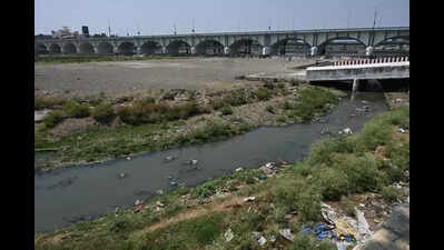 Vaigai choked by sewage at 77 points; ₹2,500-crore overhaul under way