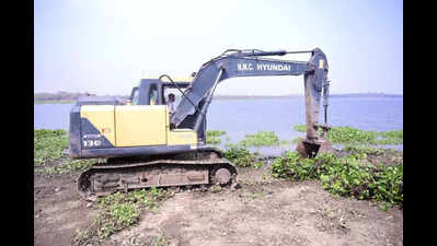 Drive launched to remove water hyacinth from Ambazari lake