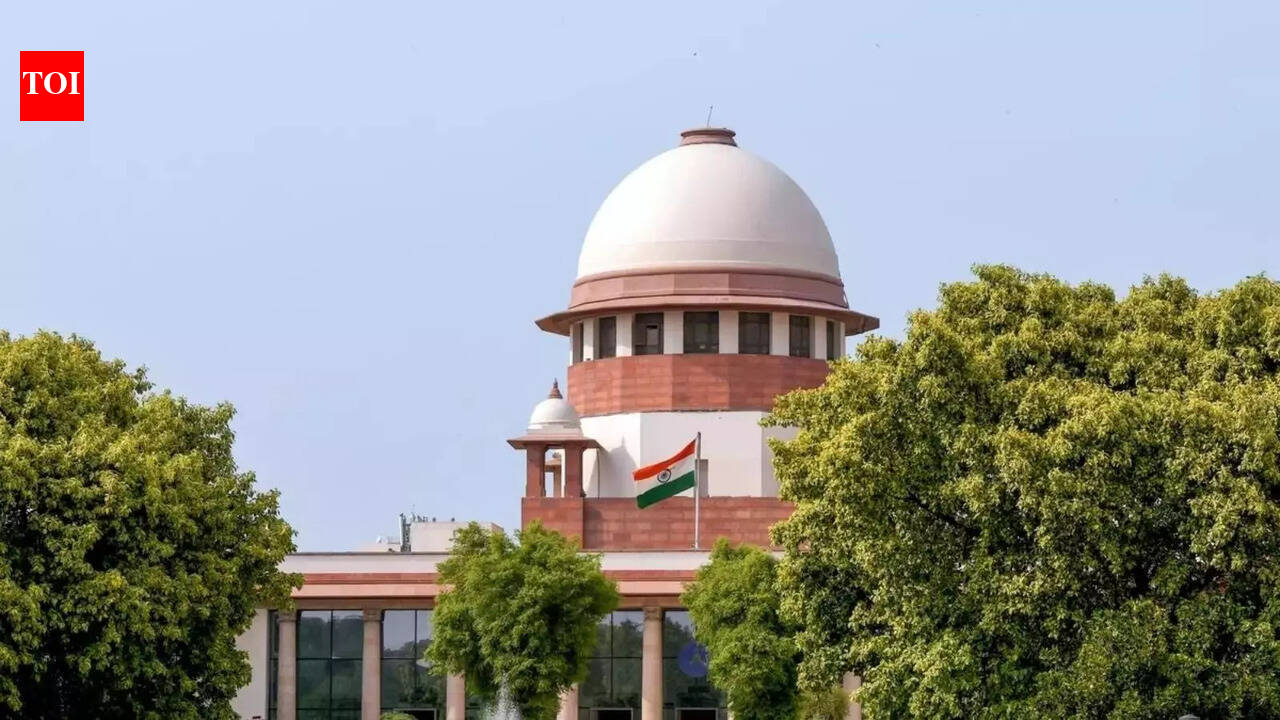 Woman moves SC to bring son's body for last rites