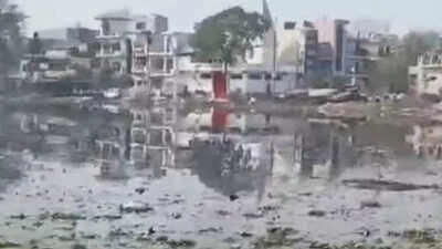 5-year-old missing for 6 days found dead in pond near Noida’s Bisrakh