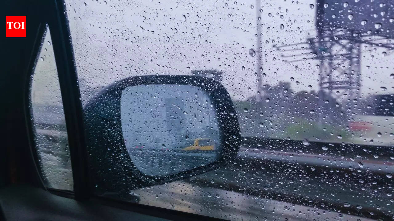 IMD weather update: Which Indian states will see rain and thunderstorms this week?