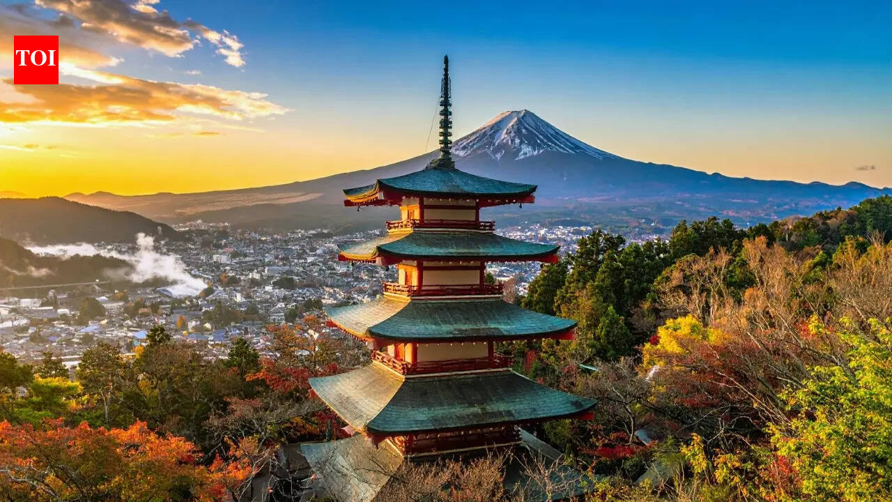 Japan visa rule change 2026: Walk-in applications end for these 4 south Indian cities