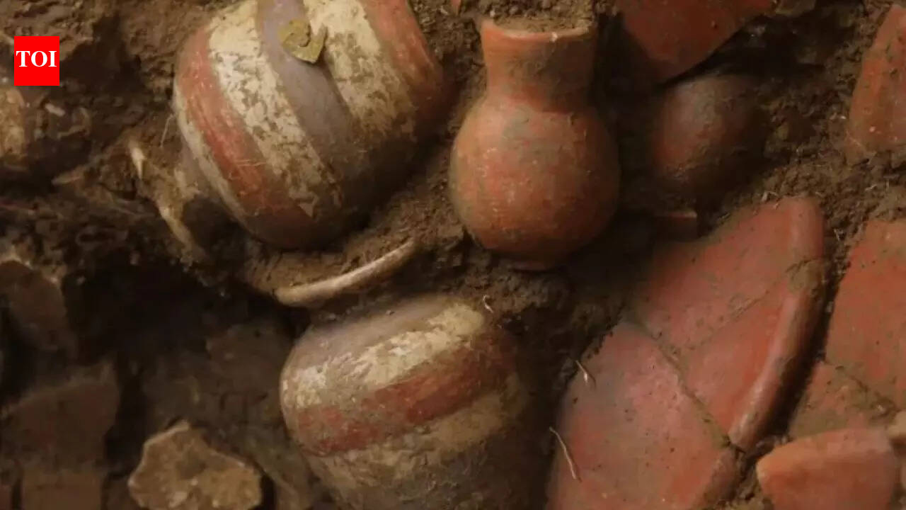 1,000-year-old gold tomb found in Panama shows ancient treasures and powerful leaders