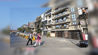 A colony that takes pride in social cohesion