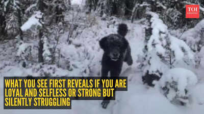  Dog or man running forward? What you see first reveals if you are loyal and selfless or strong but silently struggling