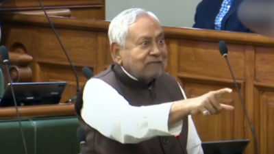 Chief Minister Nitish Kumar Loses Cool In Bihar Assembly After Guns And Bullets Jibe By RJD MLAs