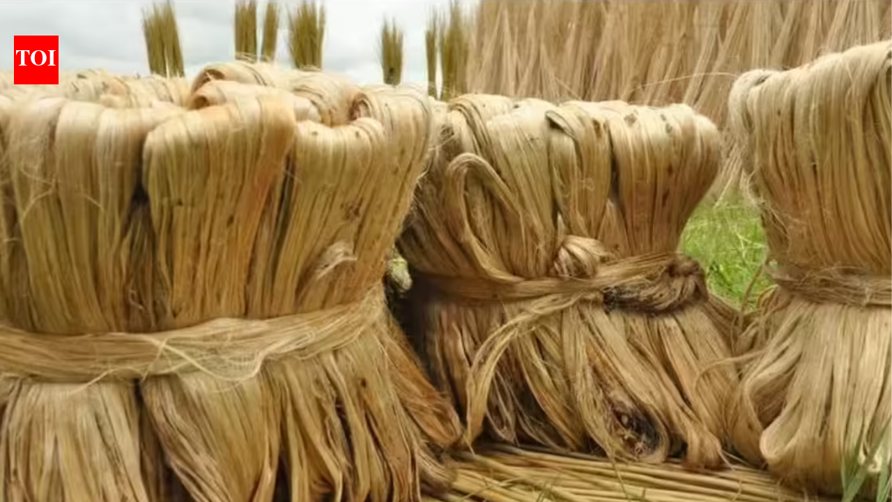 Cabinet hikes raw jute MSP to Rs 5,925 per quintal for 2026-27