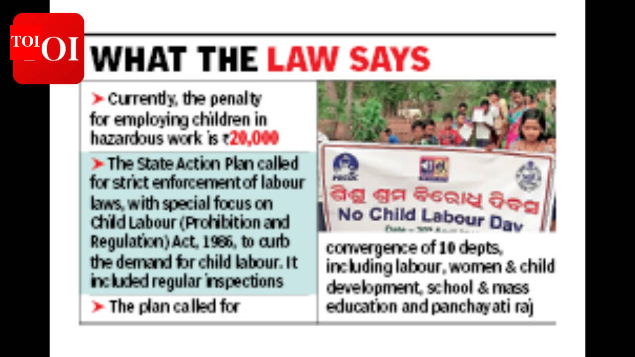 Low reporting, fewer convictions hit efforts to curb child labour in state: Activists