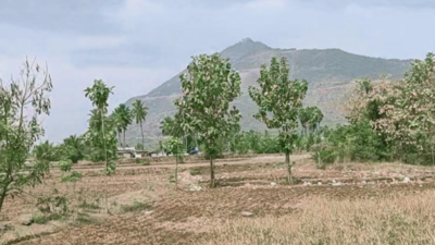 Farmers urge officials to remove encroachers on a stream in Namakkal district