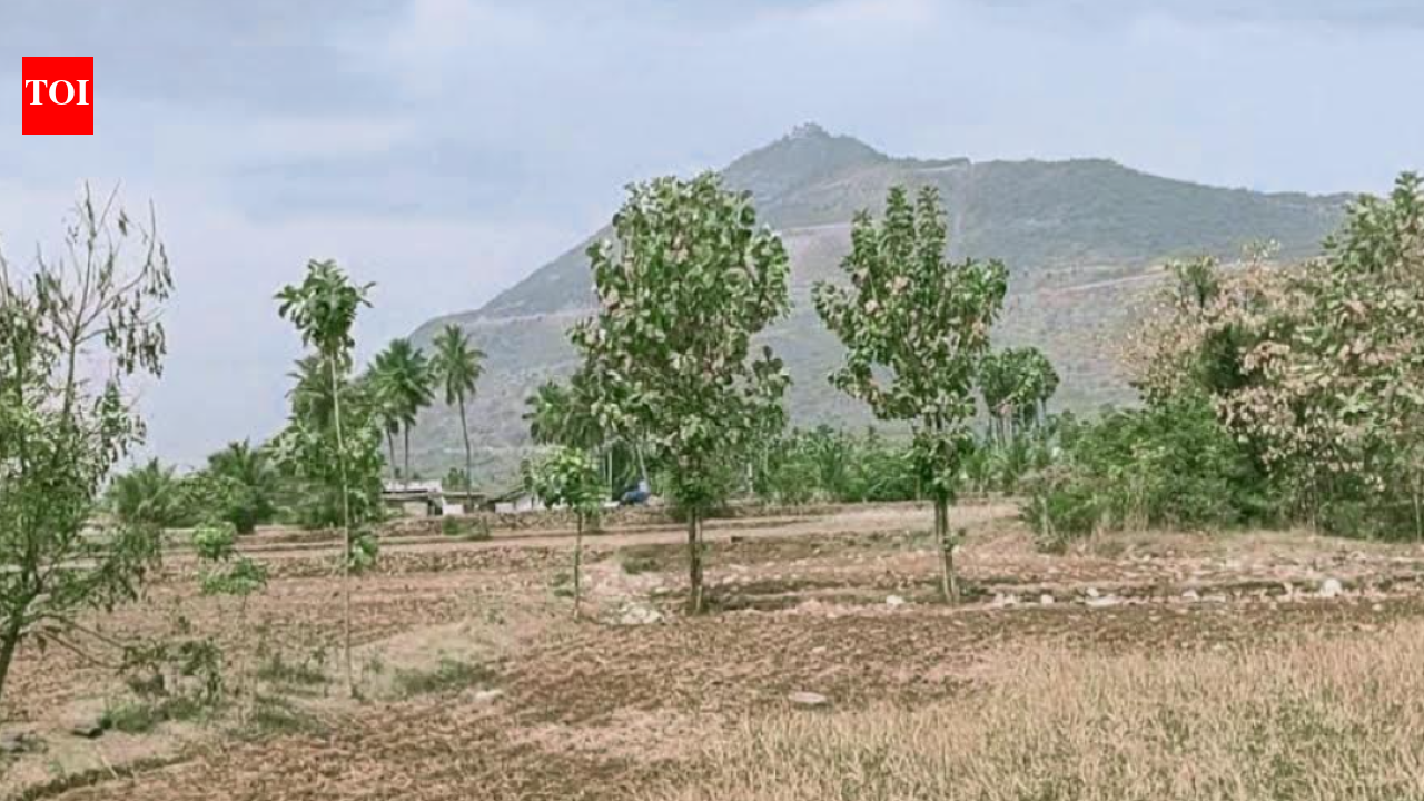 Farmers urge officials to remove encroachers on a stream in Namakkal district