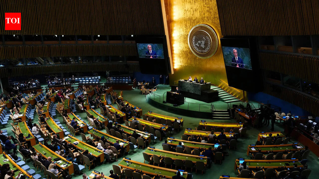 India abstains from UN draft resolution calling for Russia-Ukraine truce